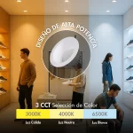 Bala Downlight