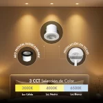 Bala LED downlight