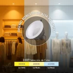 Bala Downlight